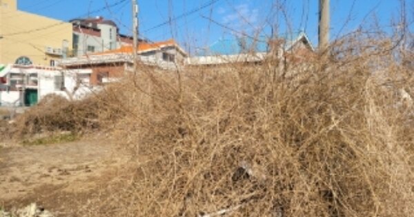 경상북도 포항시 남구 오천읍 용덕리 OOOOO 하천 경매 물건 이미지