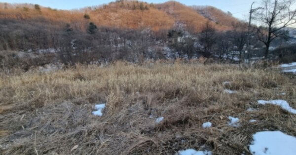 경기도 남양주시 수동면 지둔리 OO O OO O OOO 답 경매 물건 이미지