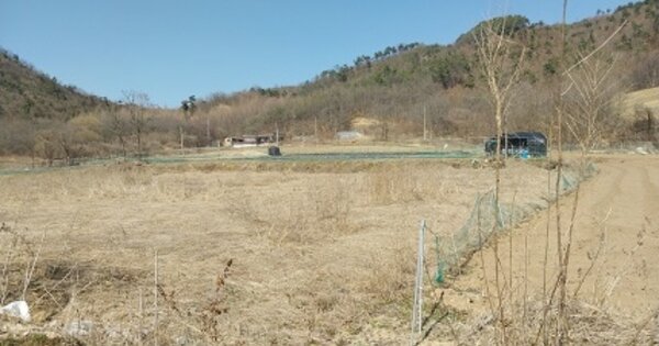 충청남도 공주시 탄천면 견동리 OOO O OOO 전 경매 물건 이미지