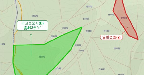 전북특별자치도 남원시 아영면 월산리 OOO 임야 경매 물건 이미지