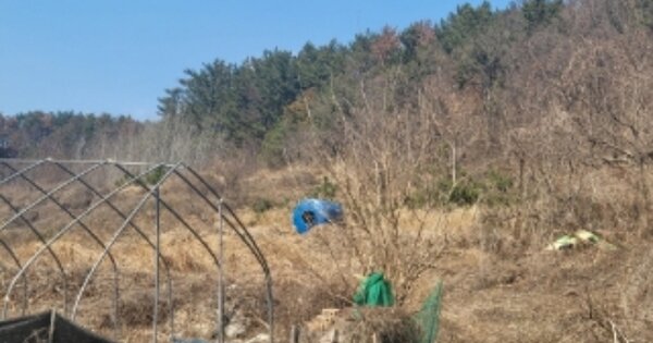 경상북도 포항시 남구 동해면 입암리 OOO 전 경매 물건 이미지