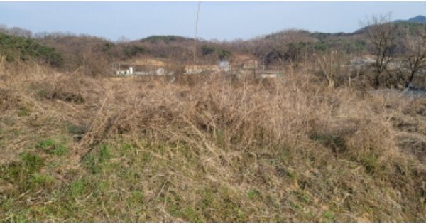 경상북도 칠곡군 기산면 영리 OOO 전 경매 물건 이미지