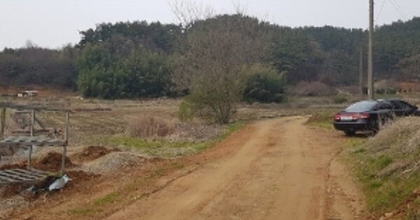충청남도 서천군 마서면 신포리 OOO O OOO 답 경매 물건 이미지