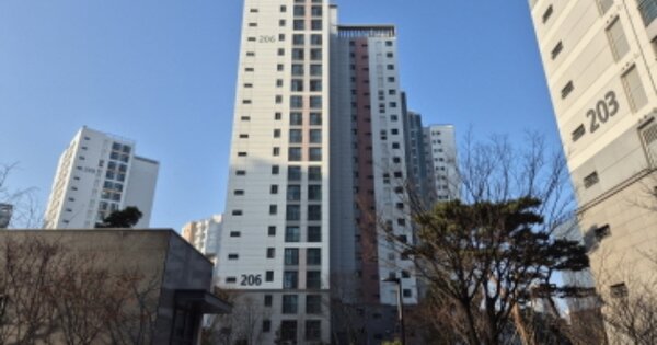 세종특별자치시 해밀동 행정중심복합도시6-4생활권엠1블록, 206동 OOOOOO OOOOOOOOOOOOO 아파트 경매 물건 이미지