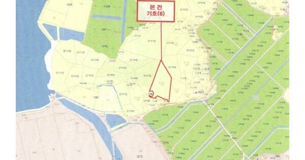 전라남도 신안군 도초면 수다리 OOOOOO 임야 경매 물건 이미지