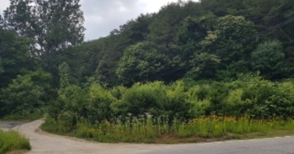 강원특별자치도 홍천군 서석면 수하리 OOOO 전 경매 물건 이미지