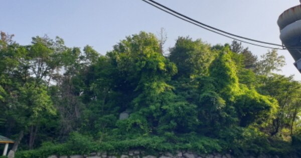경상북도 경주시 외동읍 냉천리 OOOOO 임야 경매 물건 이미지