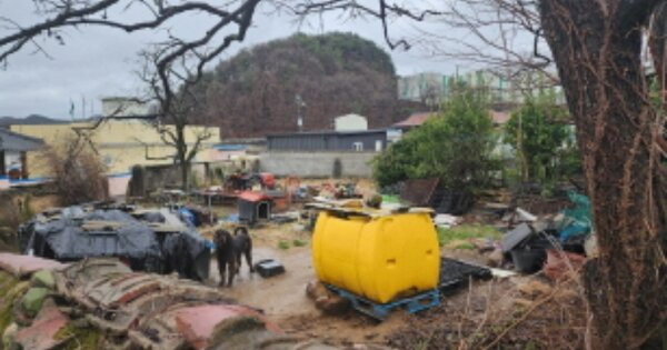 울산광역시 울주군 언양읍 반곡리 OOO 대지 경매 물건 이미지