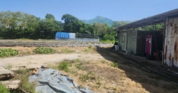 충청북도 괴산군 칠성면 율원리 OOO 답 경매 물건 이미지