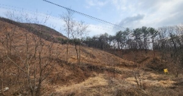 충청북도 옥천군 군북면 이백리 OOO 임야 경매 물건 이미지