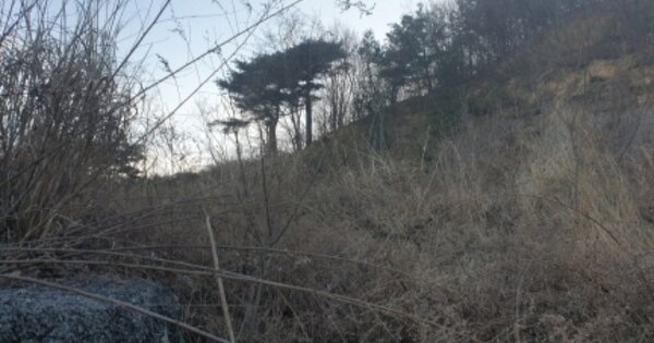경상북도 경주시 외동읍 석계리 OOOOO O OOO 임야 경매 물건 이미지