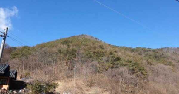경상북도 경주시 산내면 일부리 OOOO 임야 경매 물건 이미지