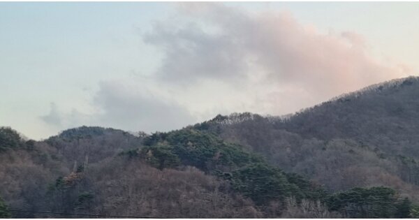 경상북도 경주시 문무대왕면 안동리 OOOO 임야 경매 물건 이미지