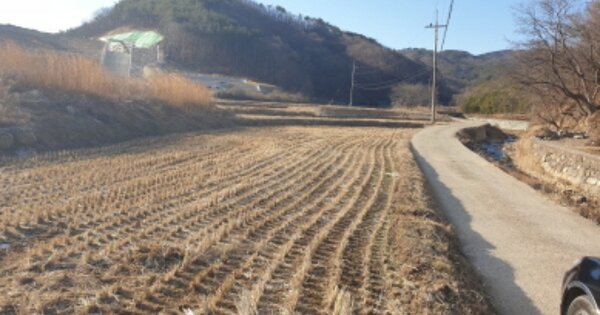 경상북도 경주시 양남면 석읍리 OOO 답 경매 물건 이미지