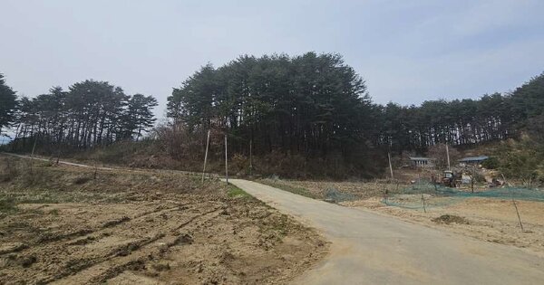 강원특별자치도 고성군 현내면 죽정리 OOOOO 임야 경매 물건 이미지