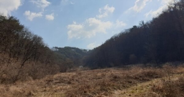 충청남도 예산군 신양면 차동리 OOO 임야 경매 물건 이미지