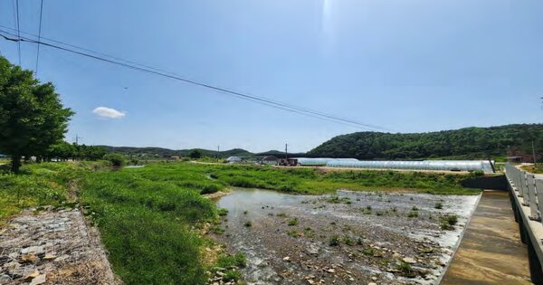 충청남도 예산군 대흥면 탄방리 167-2 주건축물제2동 O OOOO 동물 및 식물 관련시설 경매 물건 이미지