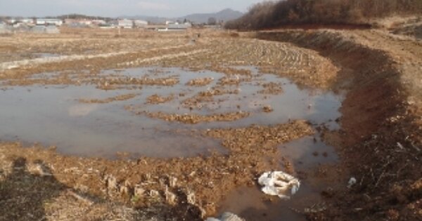 충청남도 논산시 연무읍 마전리 OOOO 답 경매 물건 이미지