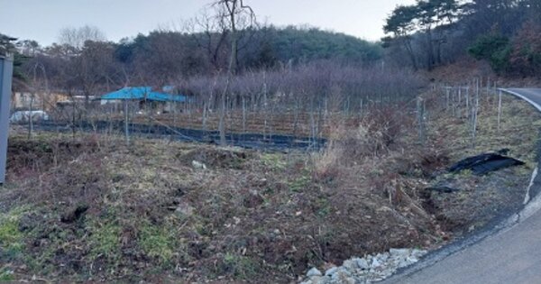 충청남도 청양군 청양읍 청수리 OOO 전 경매 물건 이미지