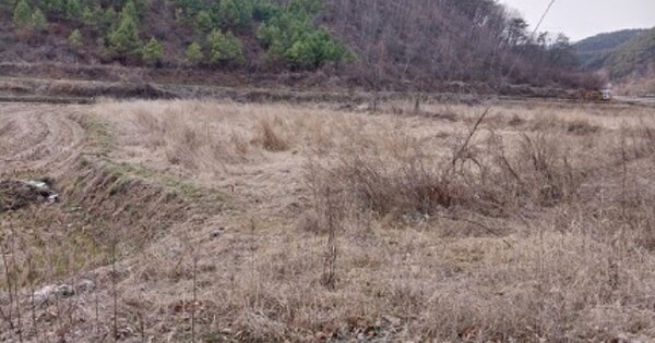 충청남도 공주시 신풍면 용수리 OOO O OOO 답 경매 물건 이미지