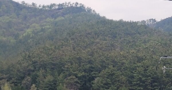 경상남도 통영시 광도면 우동리 OOO 임야 경매 물건 이미지
