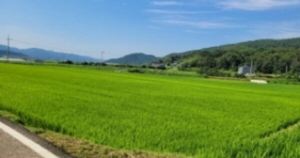 경상남도 산청군 신안면 외고리 OOO 답 경매 물건 이미지