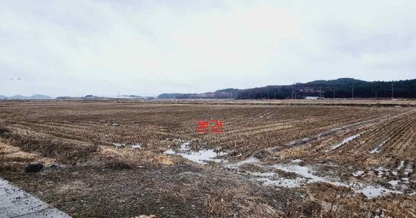 충청남도 서산시 대산읍 대로리 OOOO 답 경매 물건 이미지