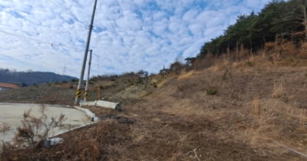 충청남도 당진시 정미면 신시리 OOOO O OOO 임야 경매 물건 이미지