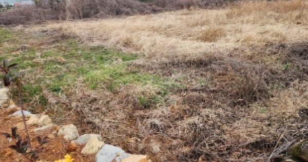 전라남도 고흥군 영남면 우천리 OOOOO 전 경매 물건 이미지