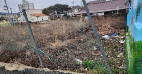 전라남도 보성군 보성읍 보성리 OOOOO 대지 경매 물건 이미지