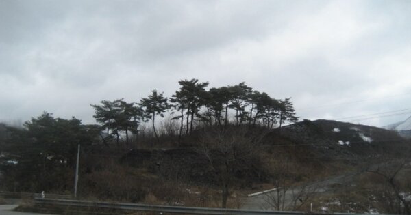 충청북도 괴산군 연풍면 적석리 OOOOO 임야 경매 물건 이미지