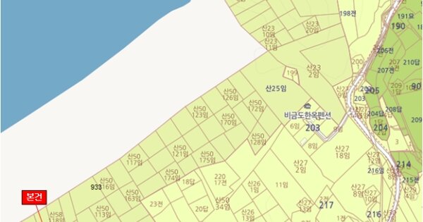 전라남도 신안군 비금면 지당리 OOOOOOO 임야 경매 물건 이미지