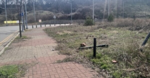 충청남도 당진시 송산면 동곡리 OOO 대지 경매 물건 이미지