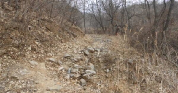 충청북도 청주시 상당구 남일면 송암리 OOOOO 임야 경매 물건 이미지