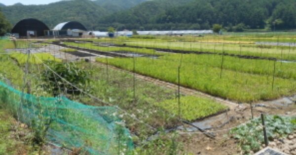 충청북도 청주시 상당구 미원면 운암리 OOO 답 경매 물건 이미지