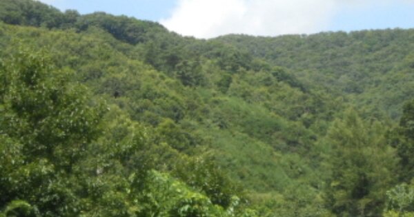 충청북도 진천군 백곡면 갈월리 O O 임야 경매 물건 이미지