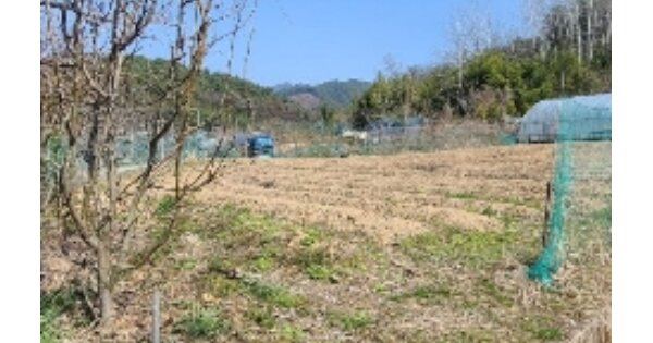 전라남도 곡성군 고달면 고달리 OOO 전 경매 물건 이미지