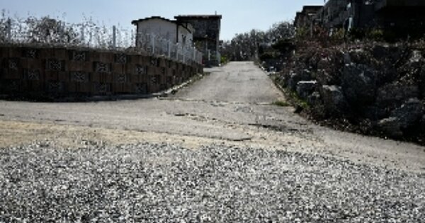 충청남도 아산시 신창면 행목리 OOOO O OOO 임야 경매 물건 이미지