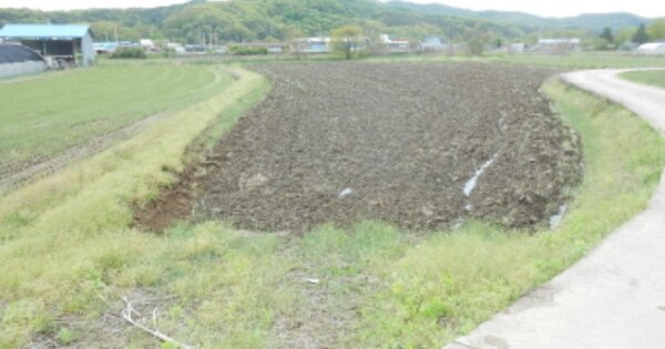 세종특별자치시 전의면 원성리 OO 답 경매 물건 이미지