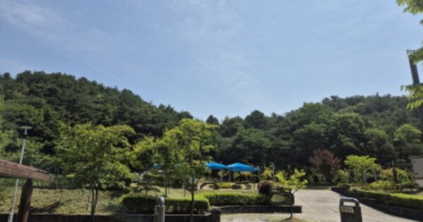 대전광역시 유성구 반석동 OOOOO 임야 경매 물건 이미지
