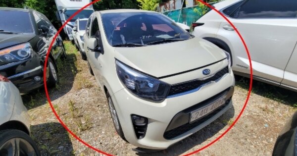 경상남도 남해군 상주면 OOOO OOO 기타차량 경매 물건 이미지