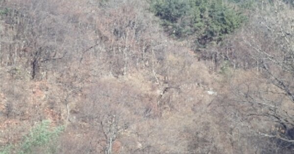 경상남도 밀양시 삼랑진읍 행곡리 OOOOO O OOO 답 경매 물건 이미지