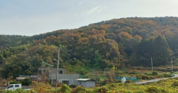 경상남도 거제시 하청면 덕곡리 OOOOOO 임야 경매 물건 이미지