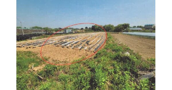 경기도 여주시 흥천면 계신리 OOOOO O OOO 답 경매 물건 이미지