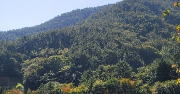 경상남도 통영시 도산면 관덕리 OOOOOO 임야 경매 물건 이미지