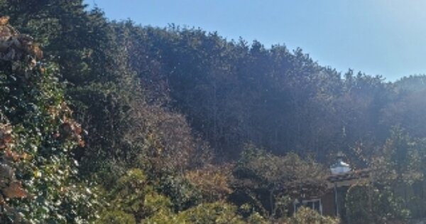 경상남도 통영시 산양읍 풍화리 OOOOO 전 경매 물건 이미지