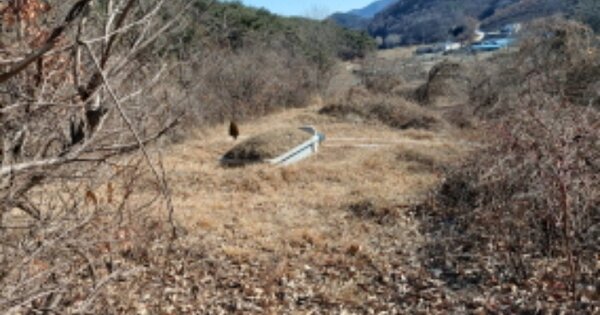 경상남도 고성군 마암면 삼락리 OOOOOO 임야 경매 물건 이미지