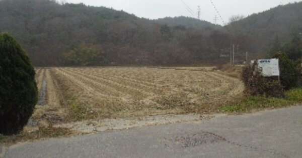 충청남도 당진시 정미면 신시리 OOOOO 답 경매 물건 이미지