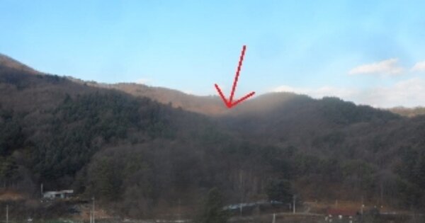 강원도 평창군 봉평면 진조리 OOO O OOO 임야 경매 물건 이미지