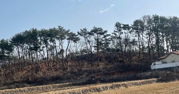 경상남도 거제시 거제면 소랑리 OOO 전 경매 물건 이미지